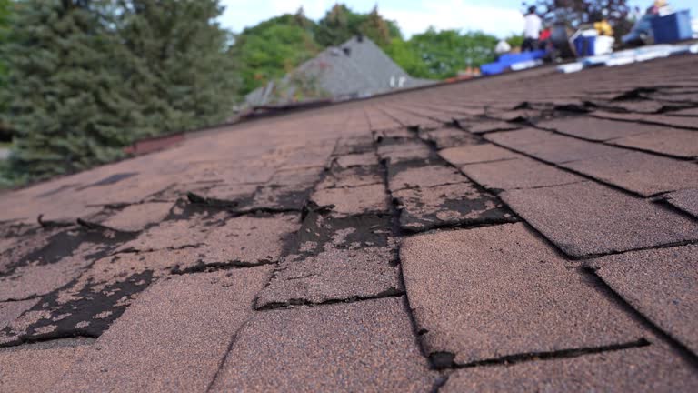 Best 4 Ply Roofing  in Emporia, VA