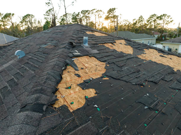 Best Roof Insulation Installation  in Emporia, VA