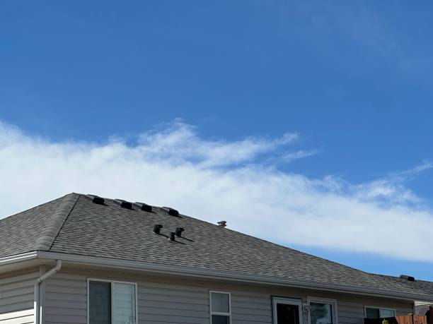 Best Emergency Roof Repair Services  in Emporia, VA