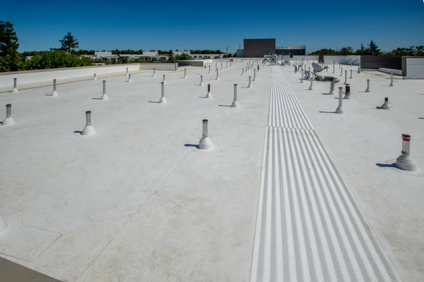 Best Roof Leak Repair  in Emporia, VA